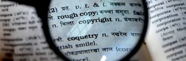 Plagiarizing
